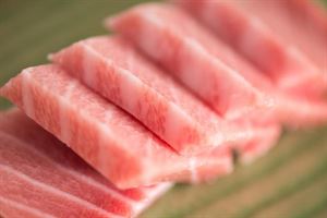 🍣 刺身培训：金枪鱼的品种与刺身选择
